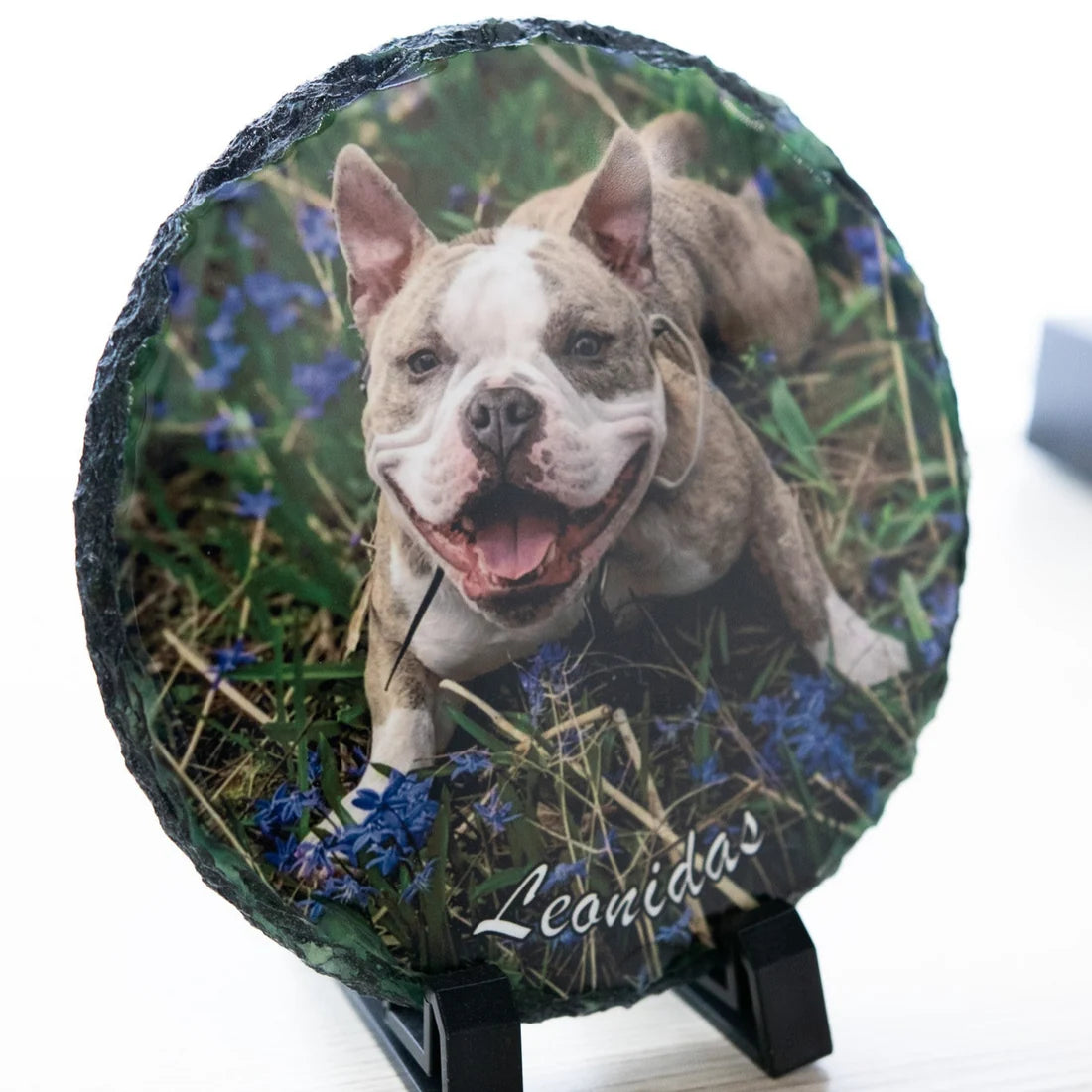 Pet Tribute Photo Plaque